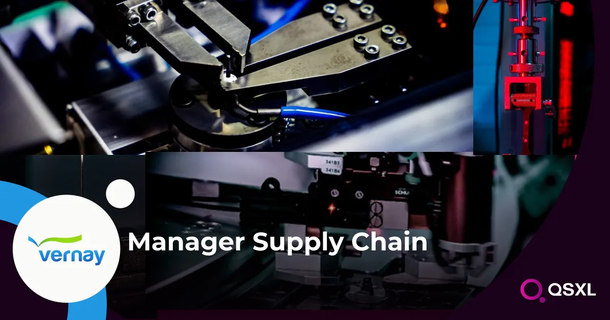 Vernay - Manager Supply Chain Image