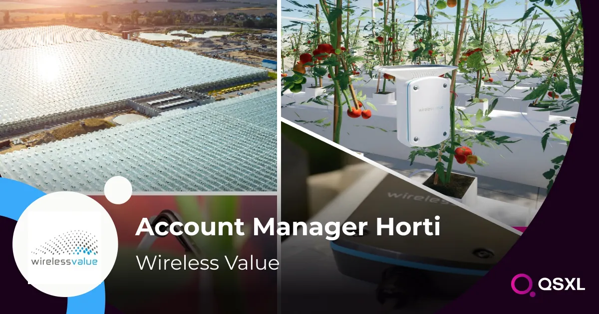 Wireless Value - Account Manager Horti Image