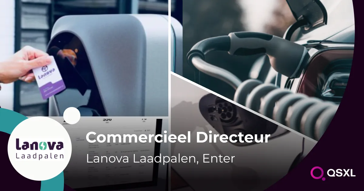 Lanova Laadpalen - Commercieel Directeur  Image